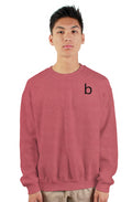 Small Logo Crewneck